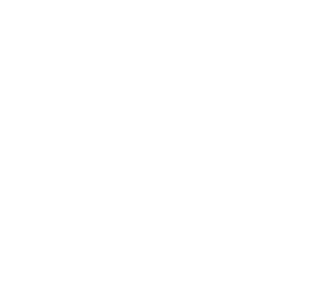 Prerolled Cones Factory